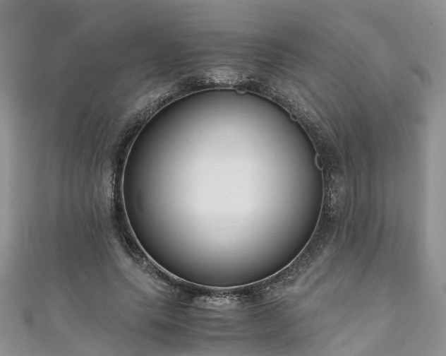 X0000110950639200906261321