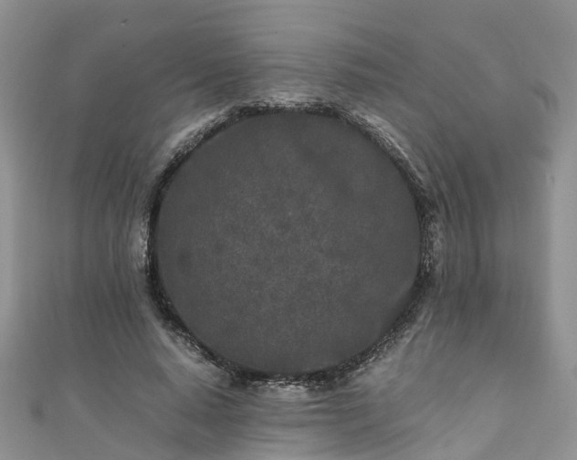 X0000110950640200906261321