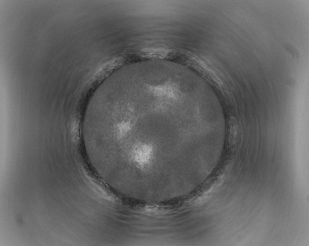 X0000110950641200906261321