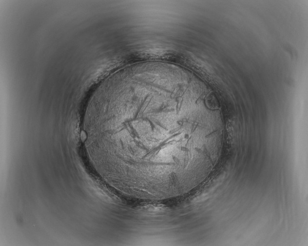 X0000110950642200906261321