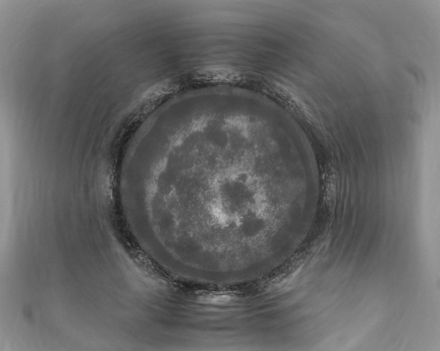 X0000110950643200906261321