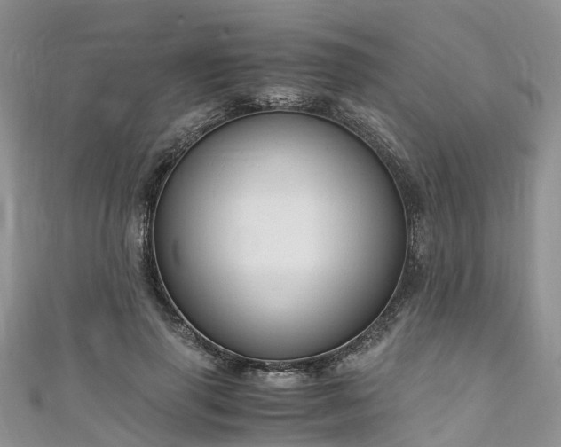 X0000110950645200906261321