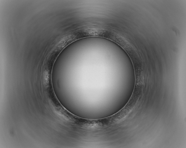 X0000110950646200906261321