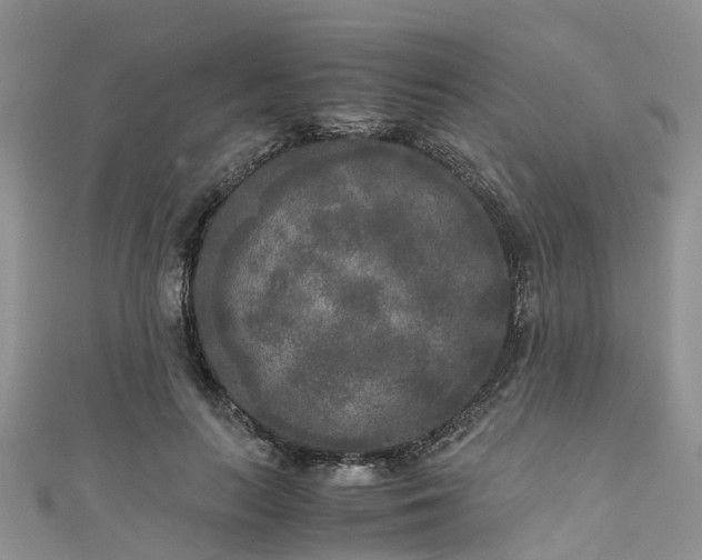 X0000110950647200906261321