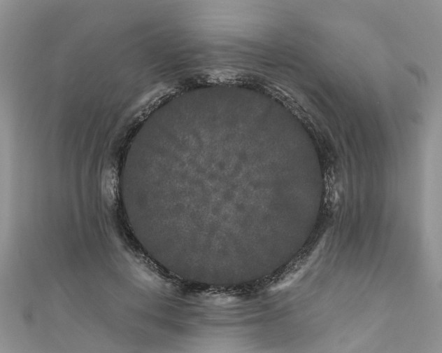 X0000110950648200906261321