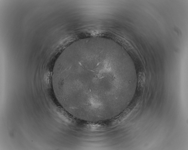 X0000110950650200906261322