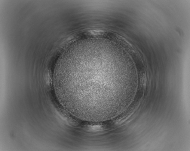 X0000110950651200906261322