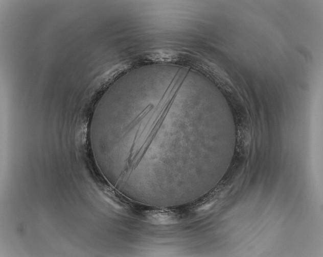 X0000110950652200906261322