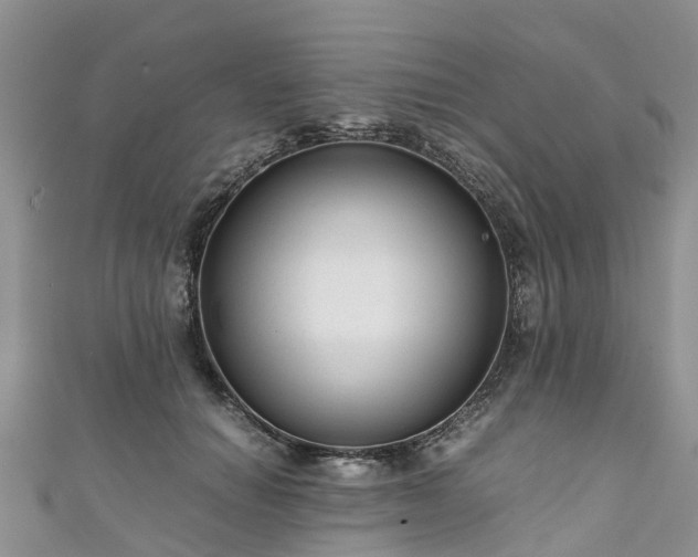 X0000110950654200906261322