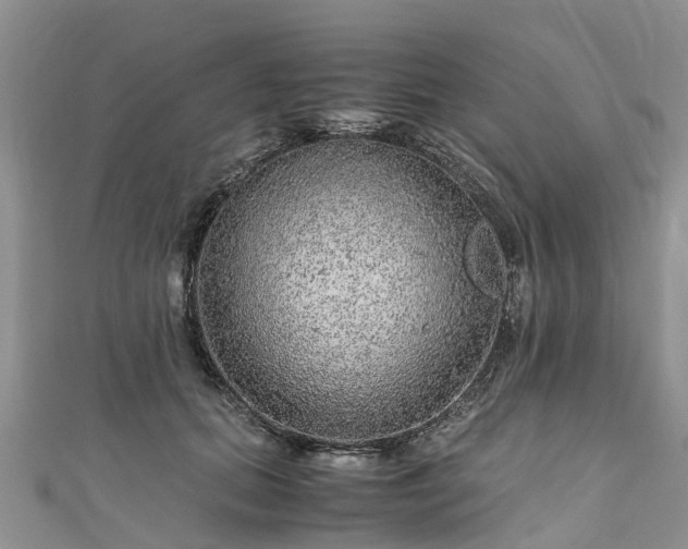 X0000110950655200906261322
