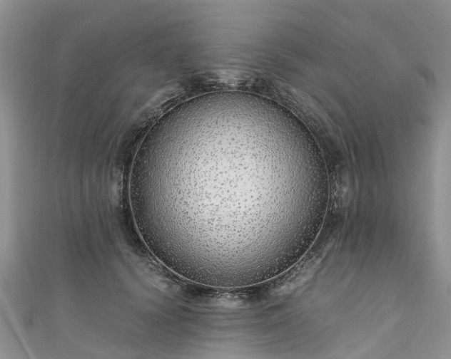 X0000110950656200906261322