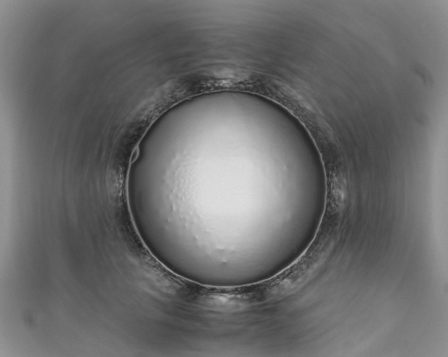 X0000110950657200906261322