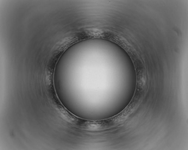 X0000110950658200906261322