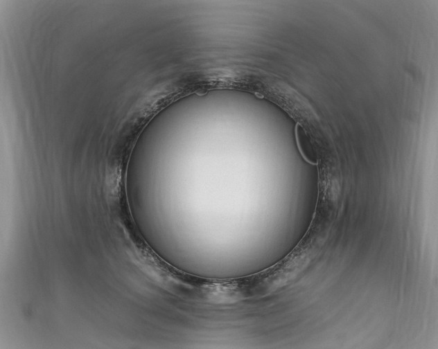 X0000110950660200906261322