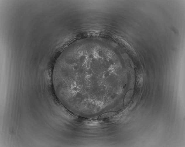X0000110950661200906261322