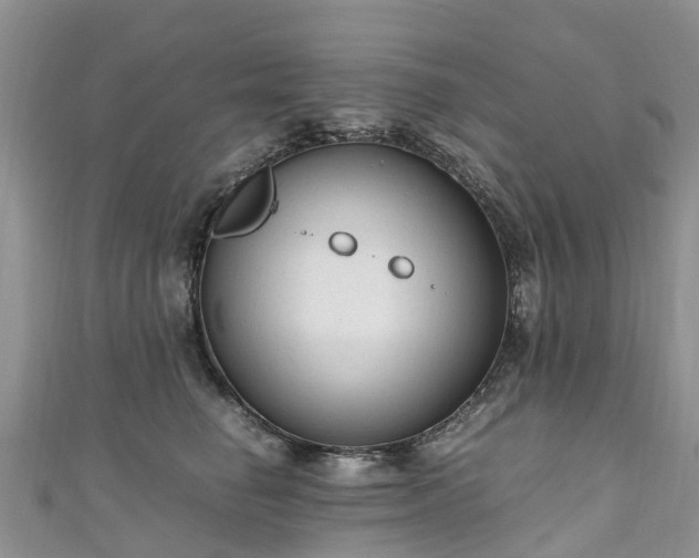 X0000110950662200906261322