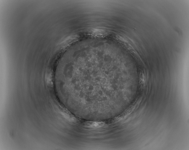 X0000110950663200906261322