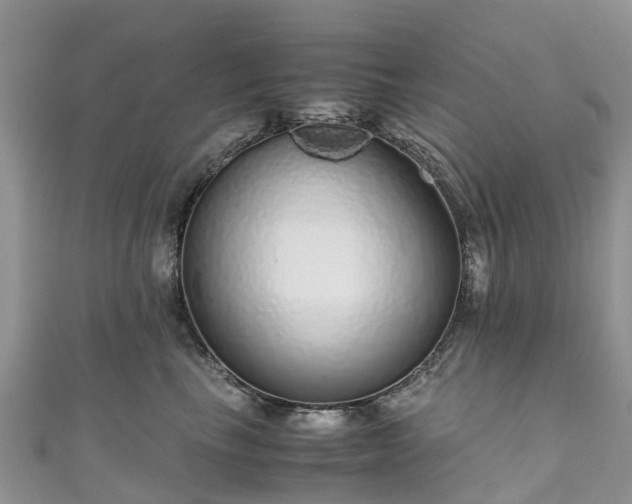 X0000110950665200906261322