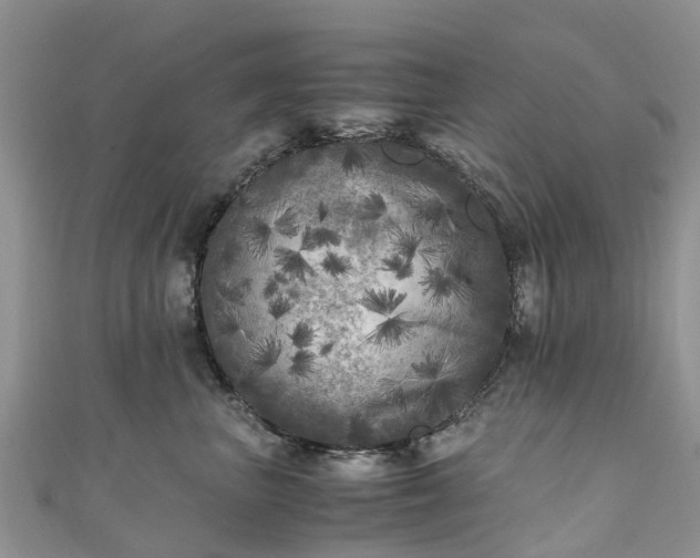 X0000110950667200906261322