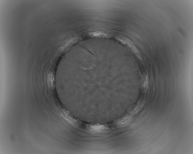 X0000110950669200906261322