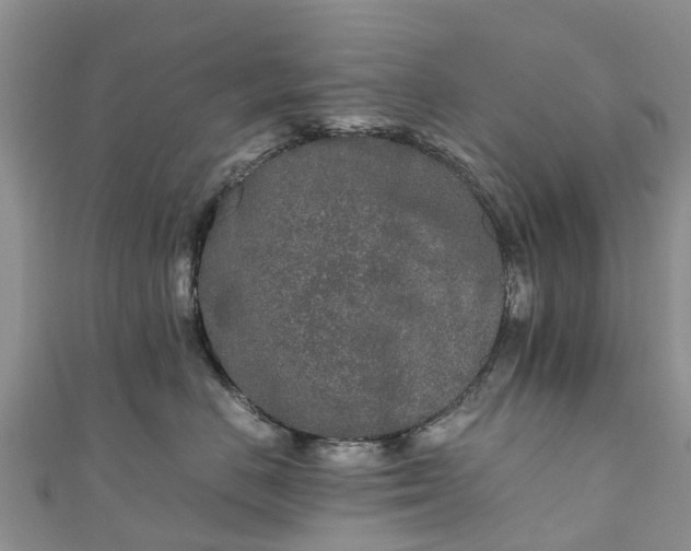 X0000110950670200906261322