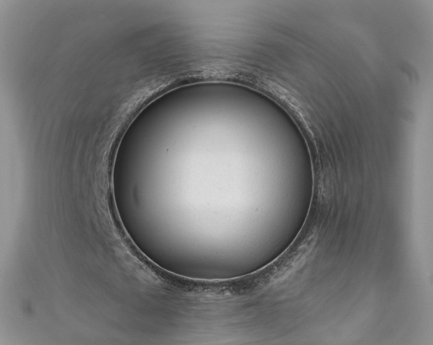 X0000110950673200906261321