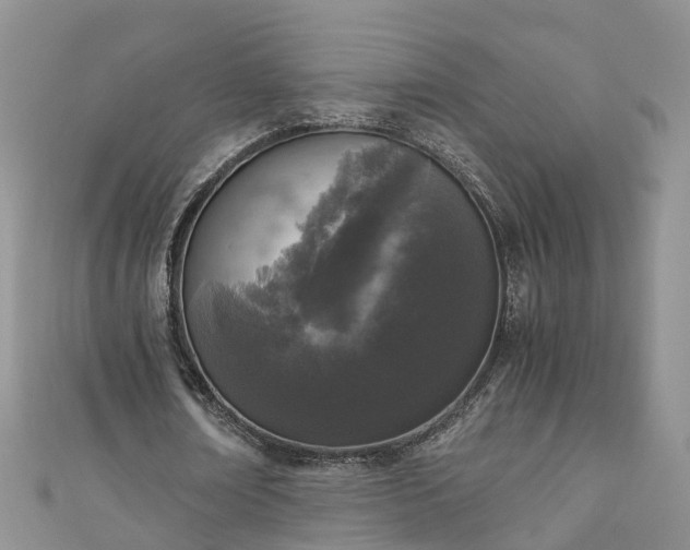 X0000110950674200906261321