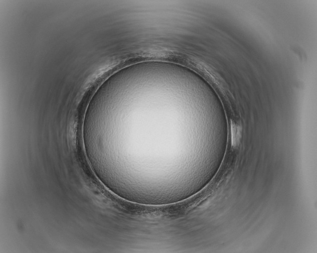 X0000110950675200906261321