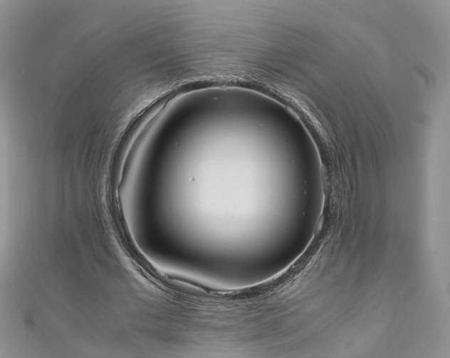 X0000110950677200906261321