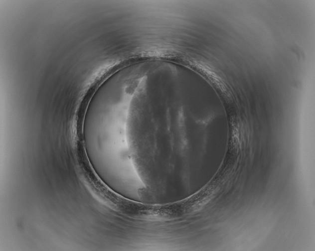 X0000110950678200906261321