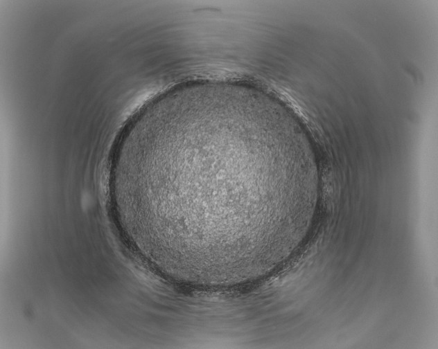 X0000110950679200906261321