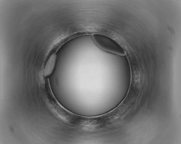 X0000110950680200906261321