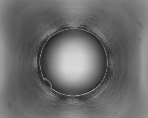 X0000110950681200906261321