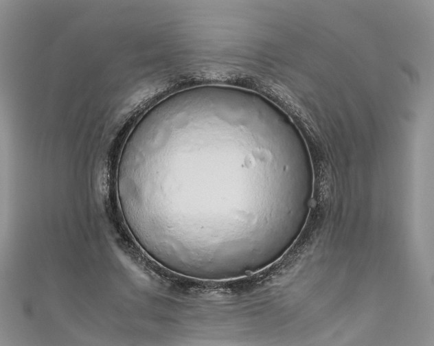 X0000110950683200906261321