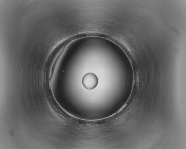 X0000110950684200906261321