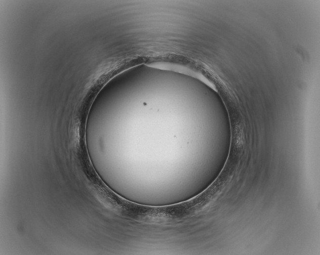 X0000110950685200906261321
