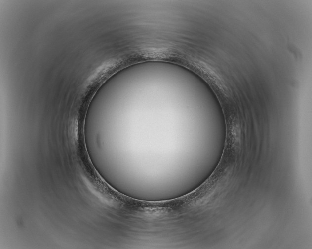 X0000110950686200906261321