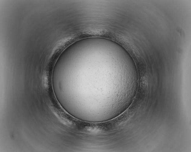X0000110950688200906261321