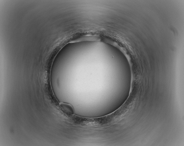 X0000110950689200906261321
