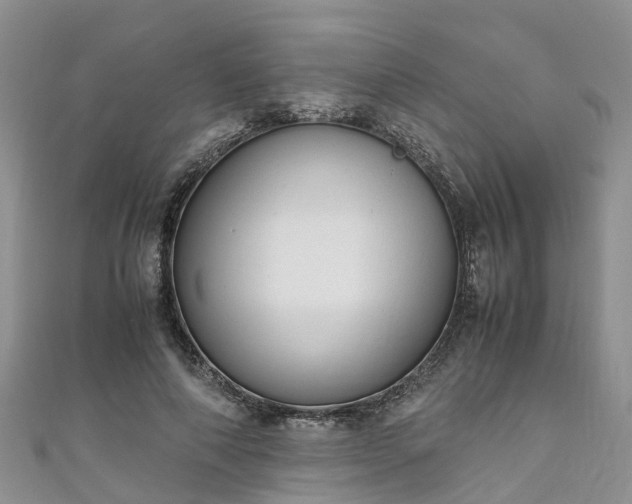 X0000110950690200906261321