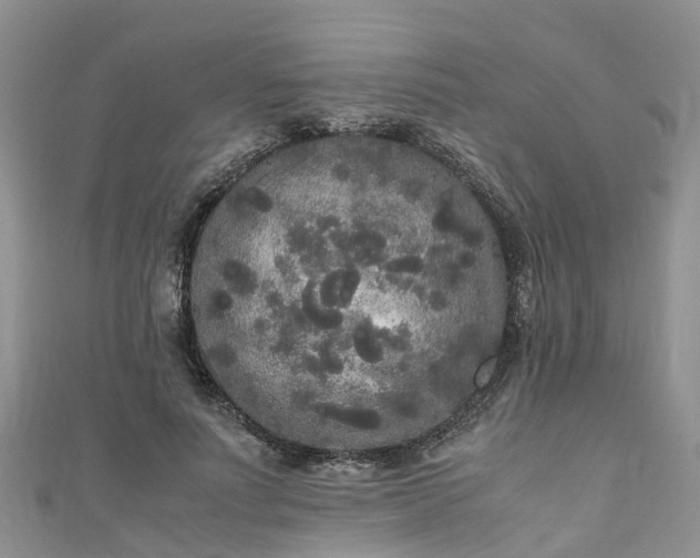 X0000110950691200906261321