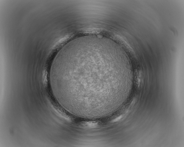 X0000110950692200906261321