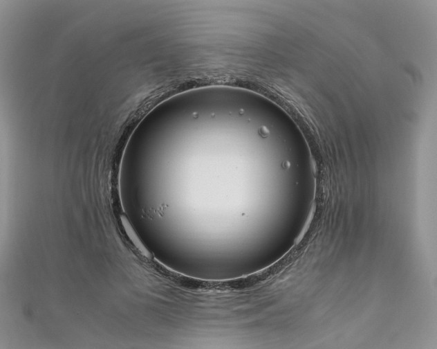 X0000110950693200906261321