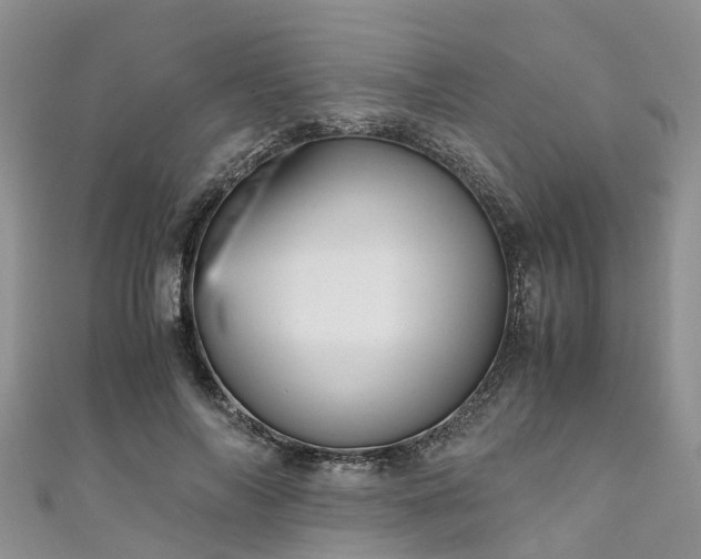 X0000110950694200906261321