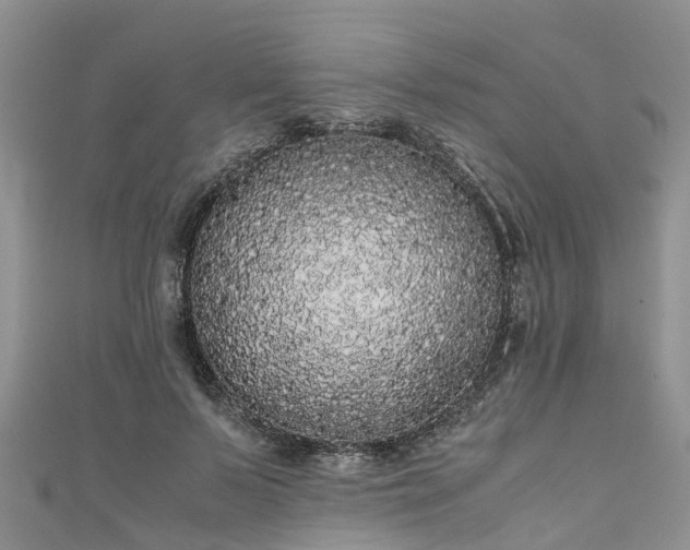 X0000110950695200906261321