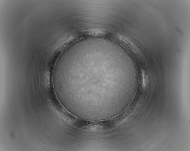 X0000110950696200906261321