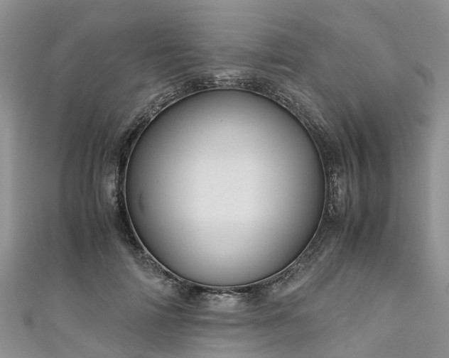 X0000110950698200906261321