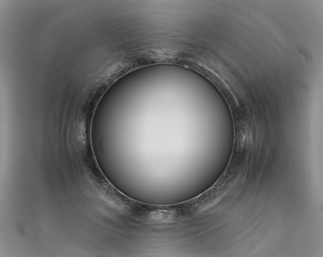 X0000110950700200906261321