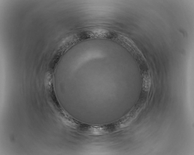 X0000110950701200906261321