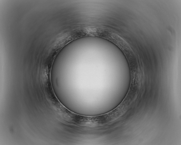 X0000110950702200906261321